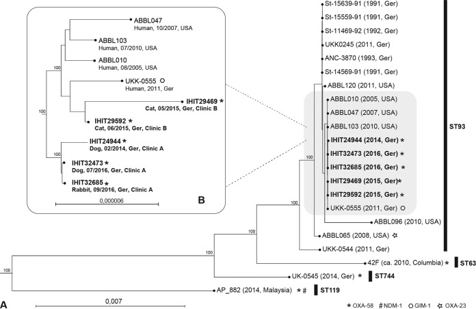 FIG 1