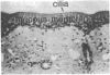 953-956