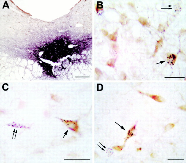 Fig. 7.