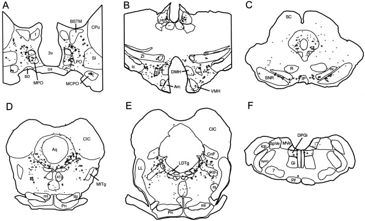 Fig. 8.