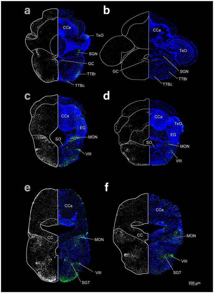 Figure 4: