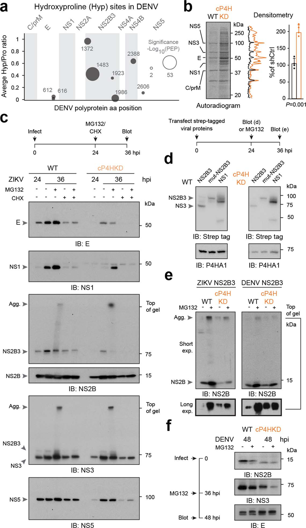 Extended data figure 10.