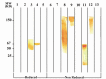 Figure 4A