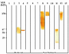 Figure 4B
