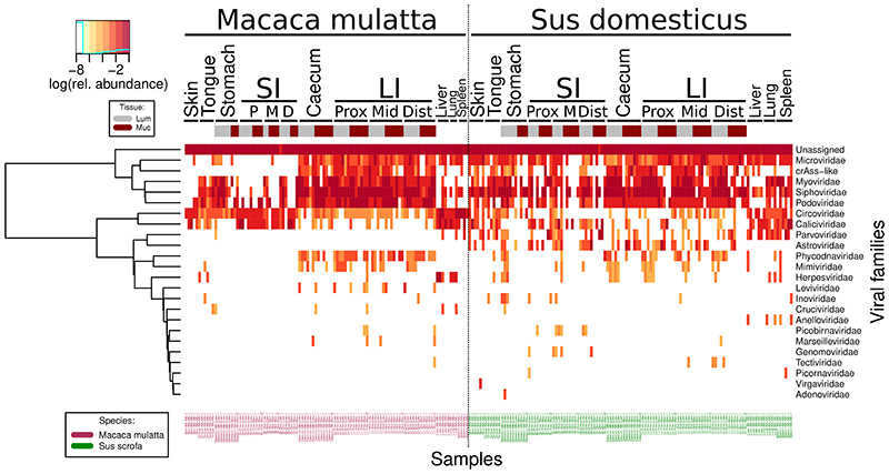 Extended Data Fig. 3