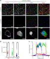 Fig. 4 |