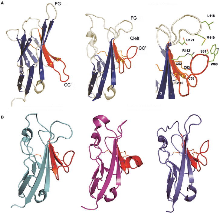 Fig. 11