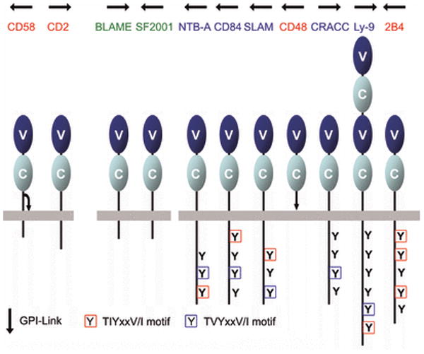 Fig. 13