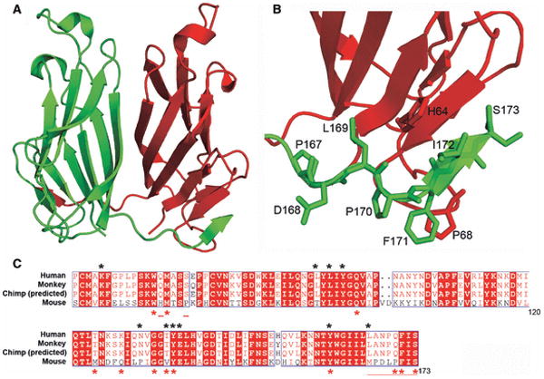 Fig. 19