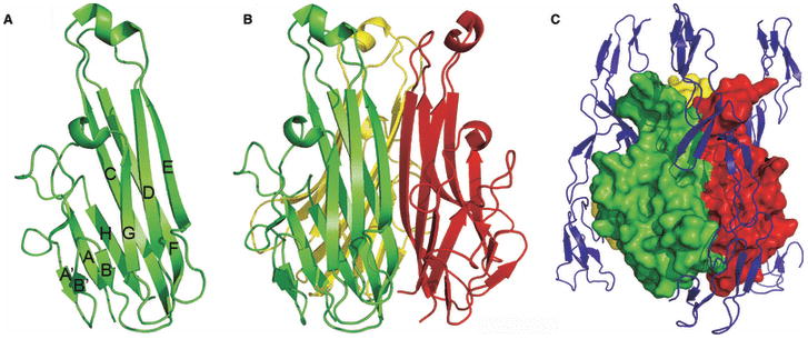 Fig. 16