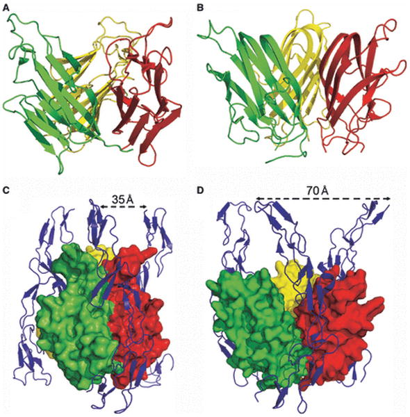 Fig. 17