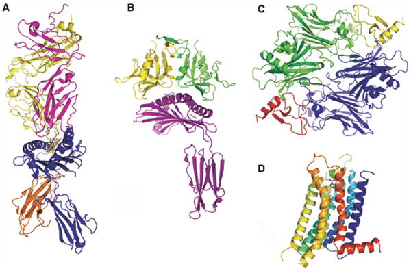 Fig. 1