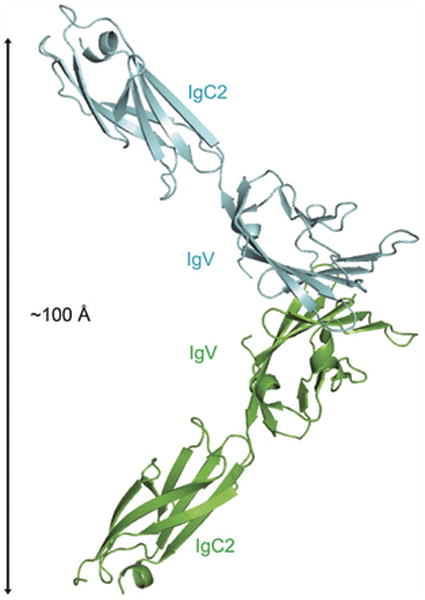 Fig. 15