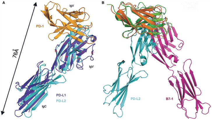 Fig. 9