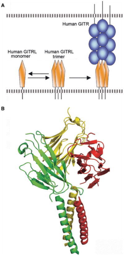 Fig. 18