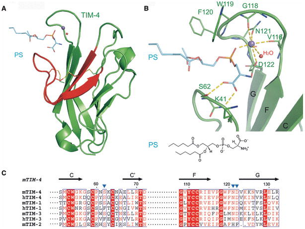 Fig. 12