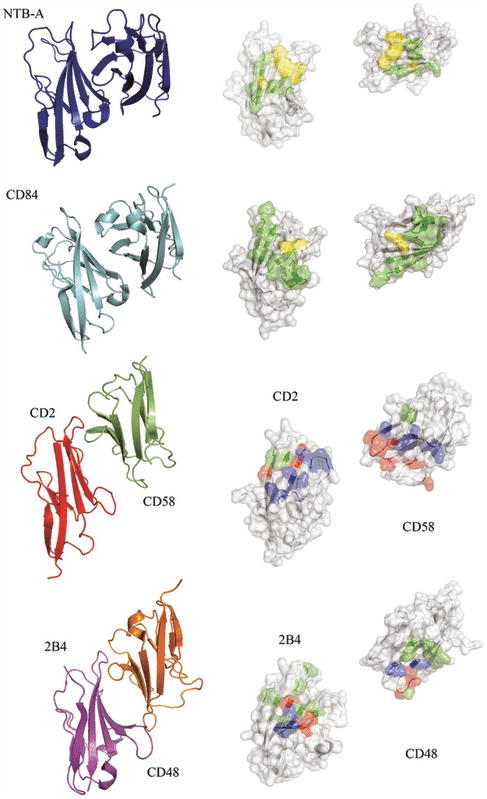 Fig. 14