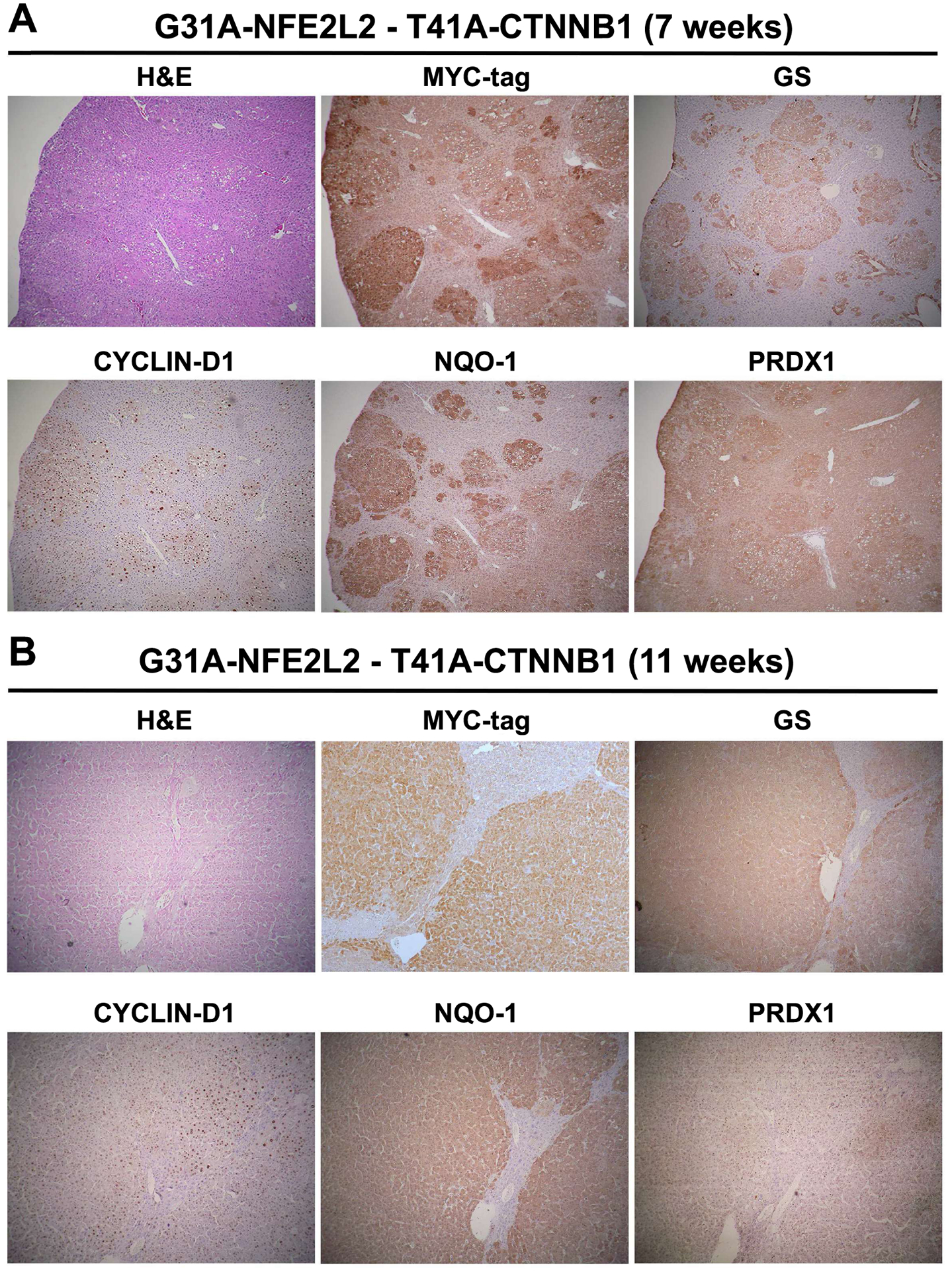 Figure 6: