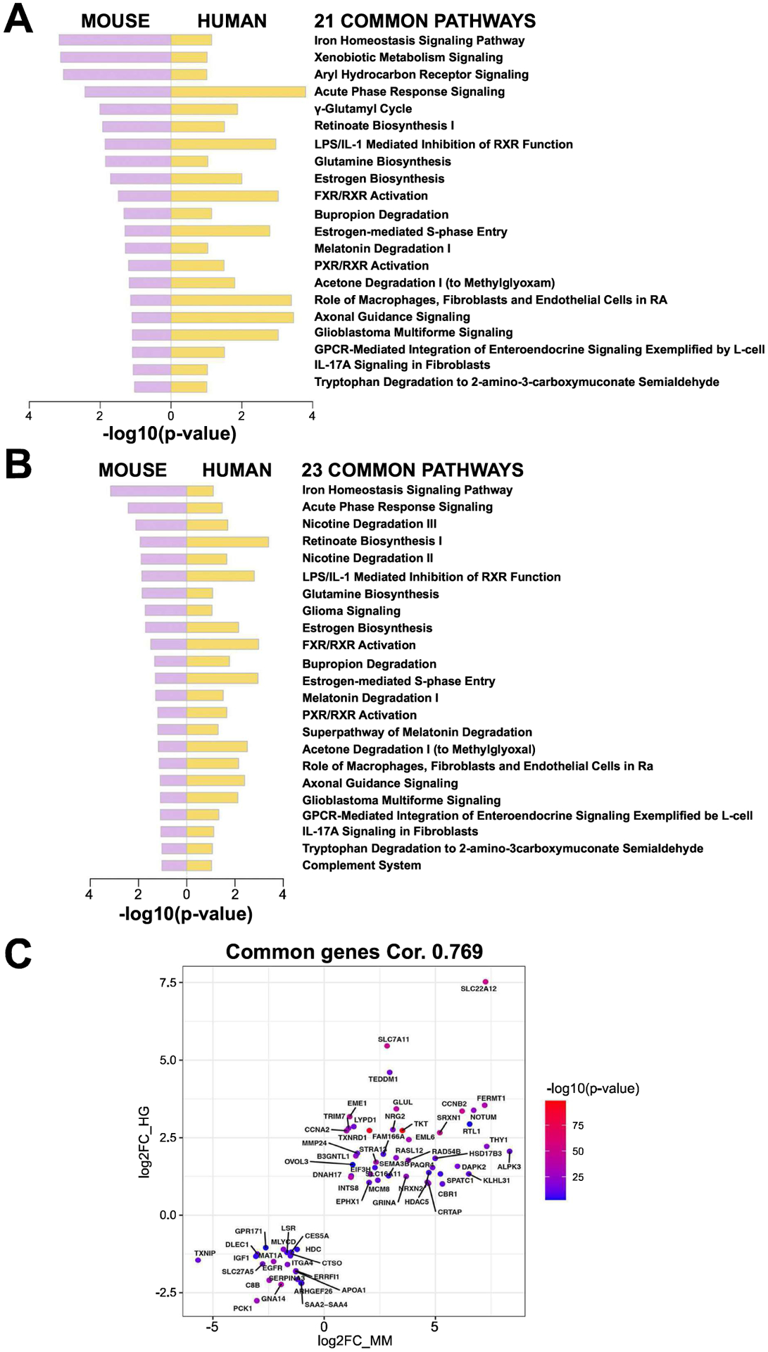 Figure 7: