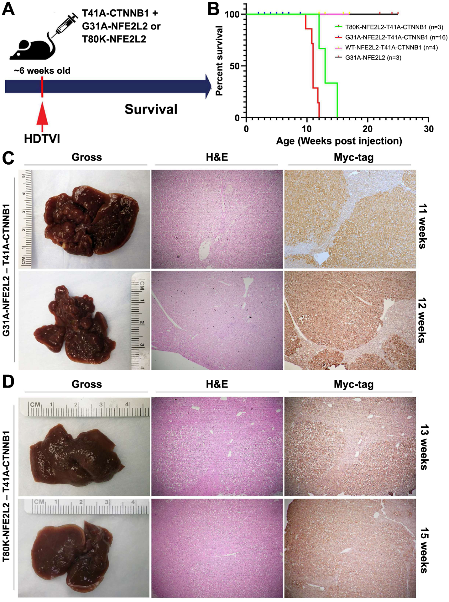 Figure 4: