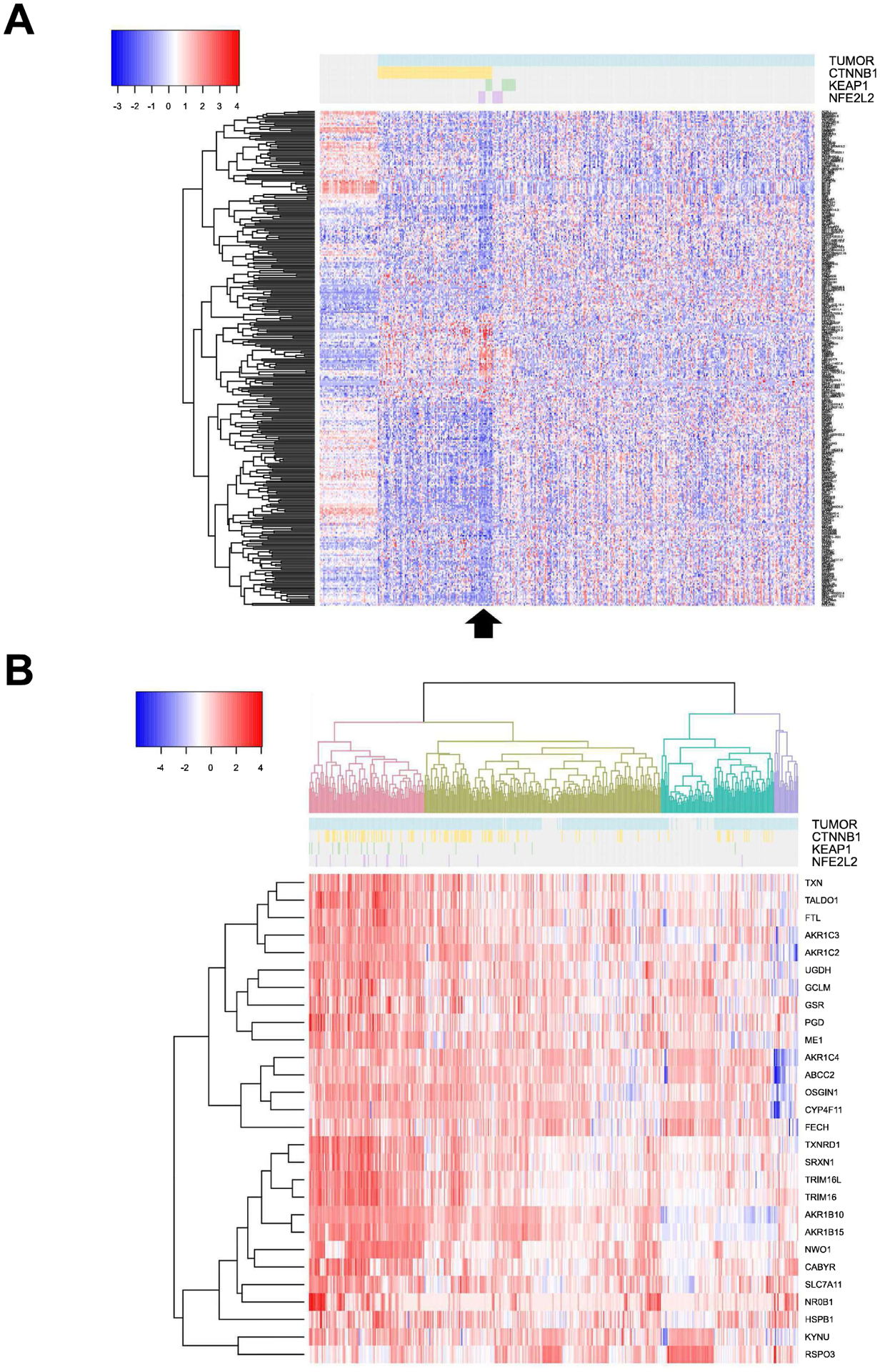 Figure 2: