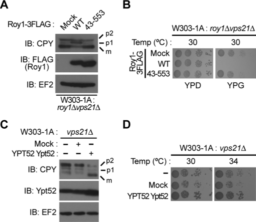 FIGURE 4: