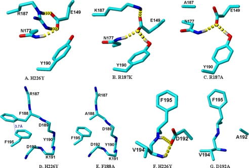 FIGURE 4.