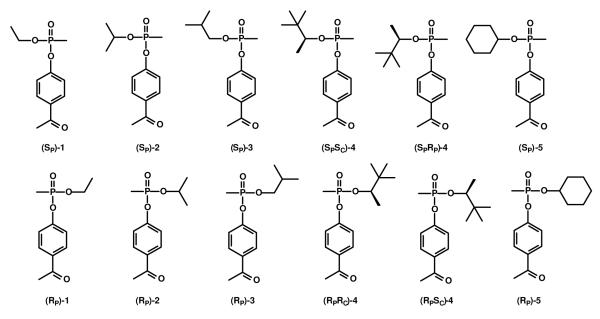 Scheme 3