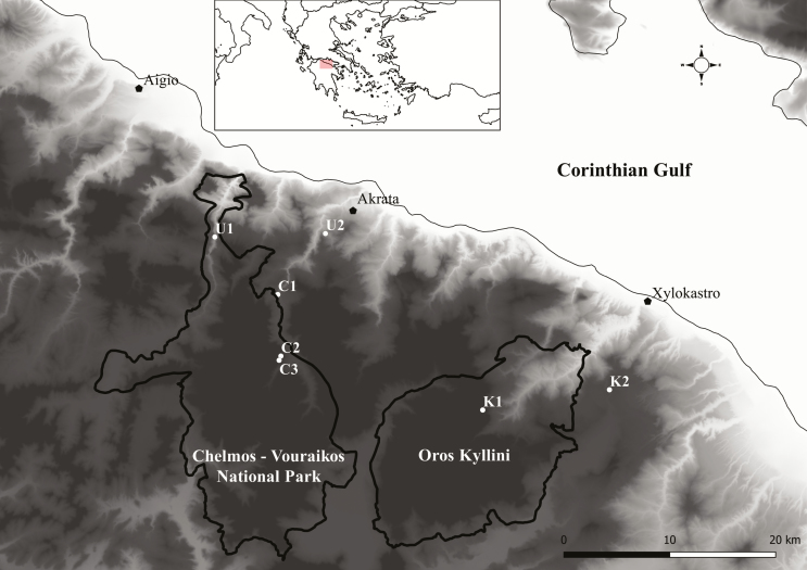 Figure 1.