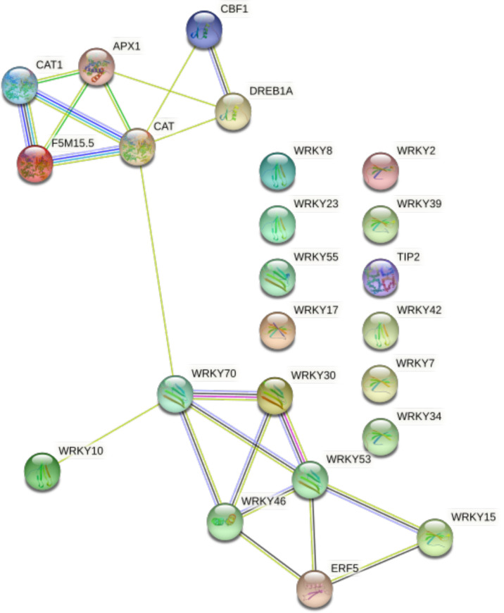 Figure 3