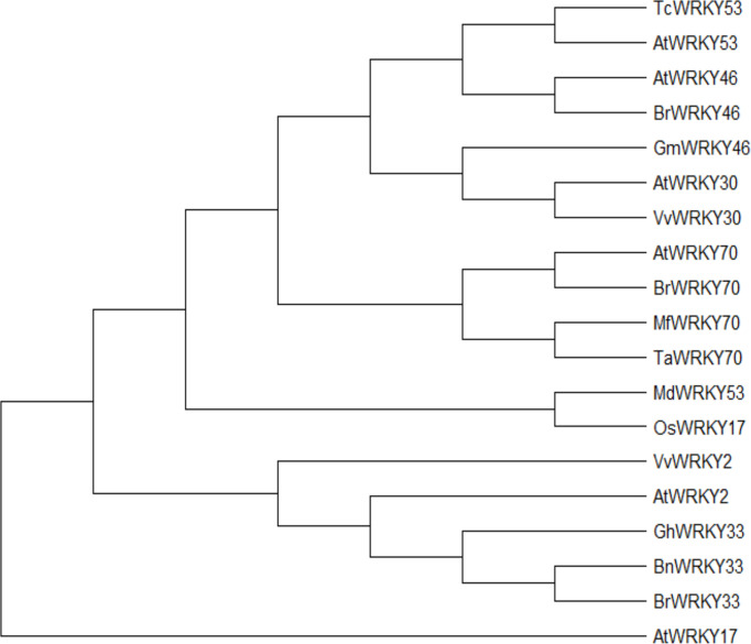 Figure 1