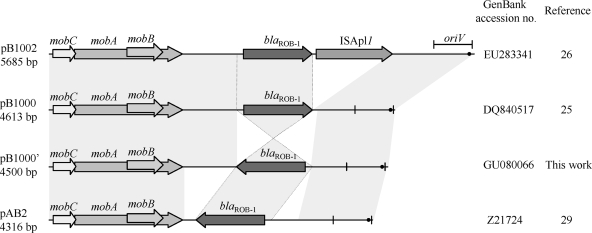 FIG. 2.