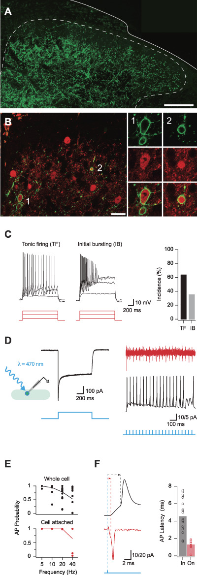 Figure 4.