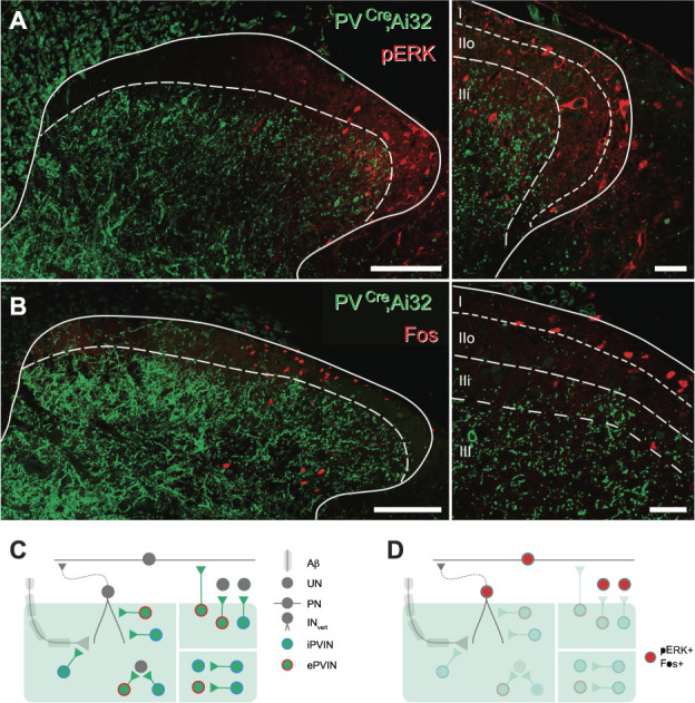 Figure 12.