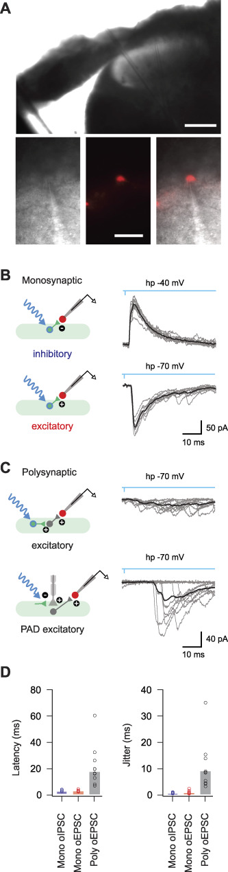 Figure 10.