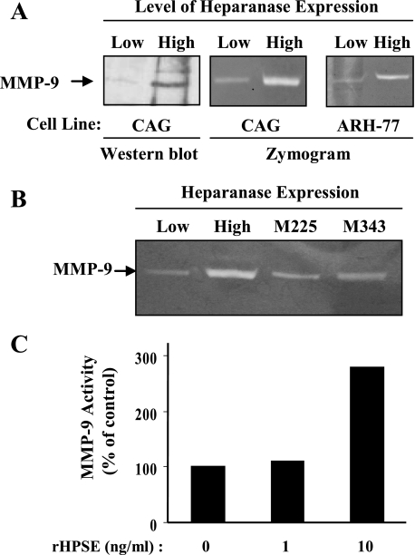 FIGURE 1.