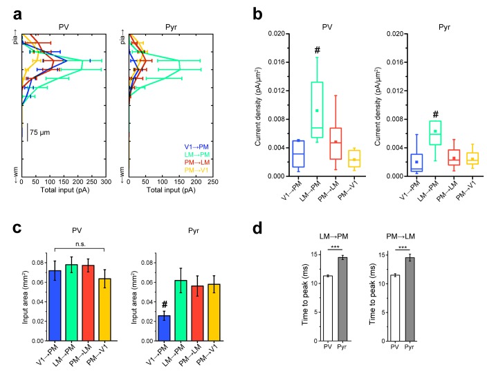 Figure 4—figure supplement 2.