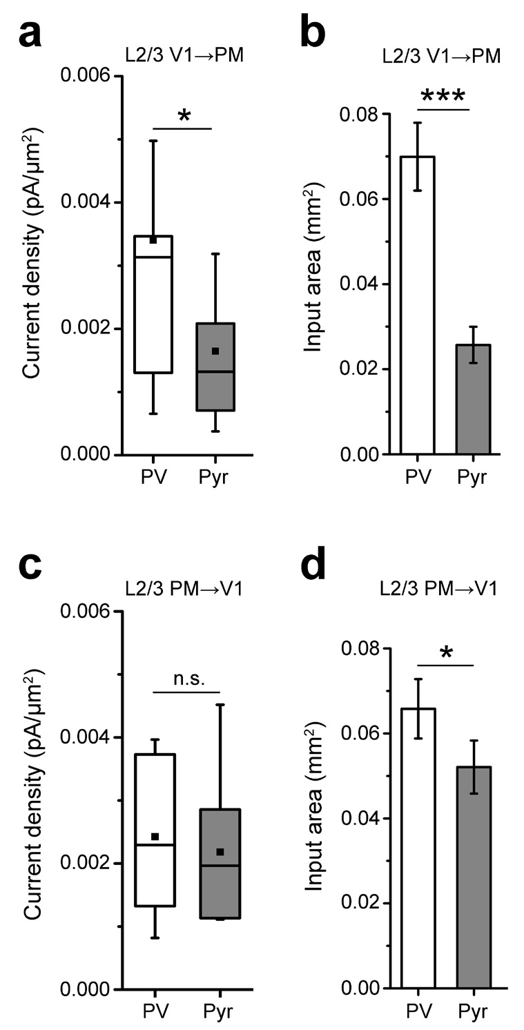 Figure 3—figure supplement 1.