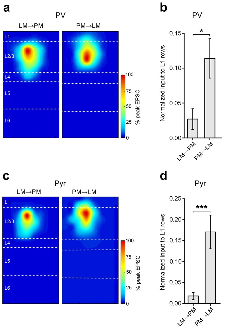 Figure 4—figure supplement 1.