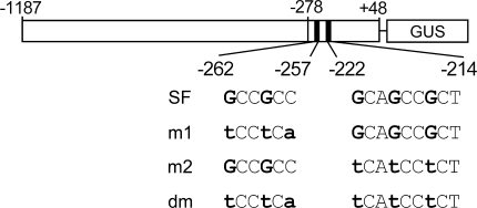 Fig. 1