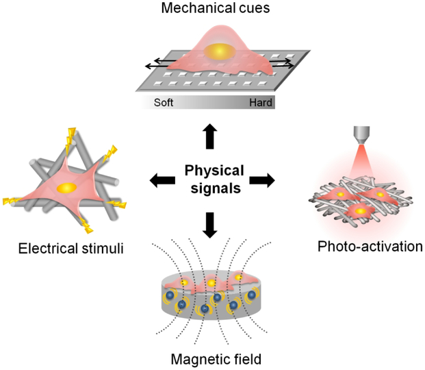 Figure 11.