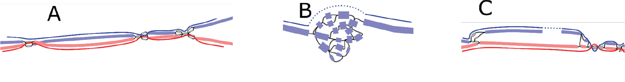 Extended Data Figure 10.