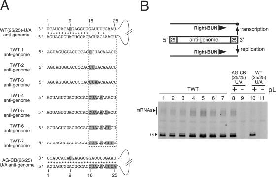 FIG. 4.