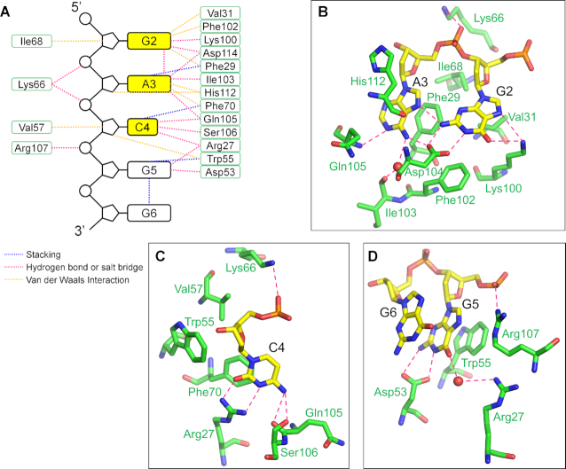 Figure 4.