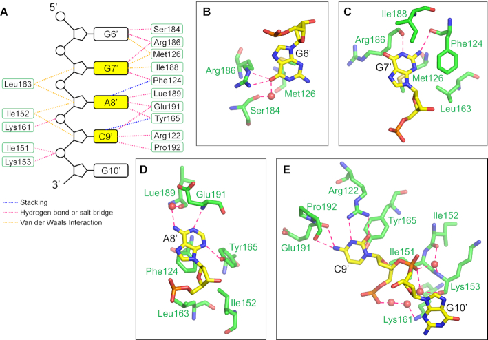 Figure 5.