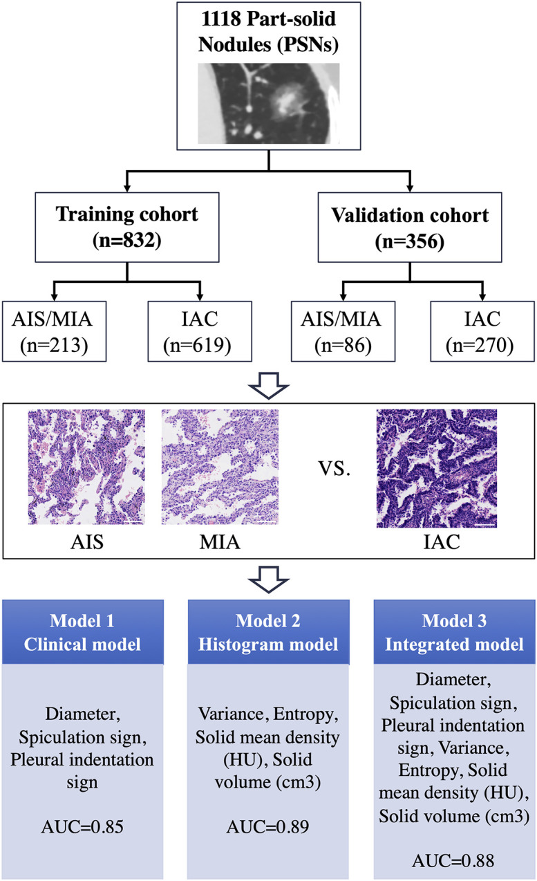 Figure 1