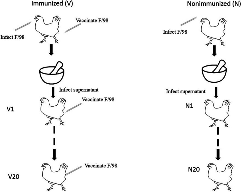 Fig. 1