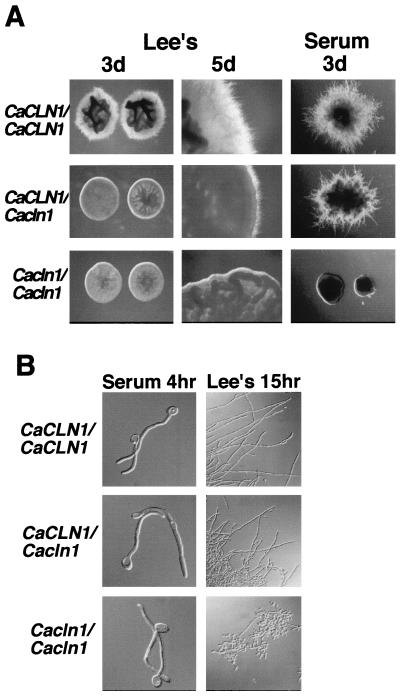 FIG. 4