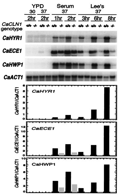 FIG. 6