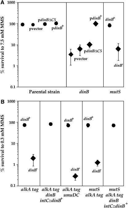 Figure 5.—